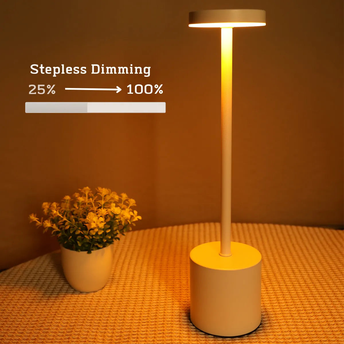 Simple LED Rechargeable Touch Metal Bed side Lamp