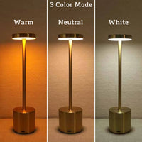 Simple LED Rechargeable Touch Metal Bed side Lamp